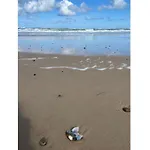 Casa vacanze Walderik - 423m From The Sea By Interhome Hirtshals