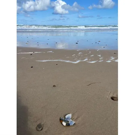 Walderik - 300m From The Sea In Nw Jutland By Interhome *